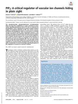 PIP2: a Critical Regulator of Vascular Ion Channels Hiding in Plain Sight