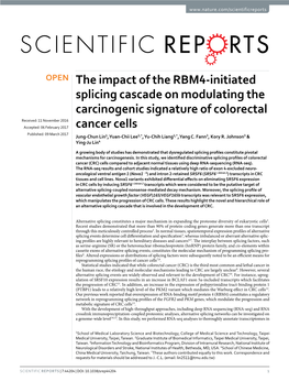 The Impact of the RBM4-Initiated Splicing Cascade on Modulating The