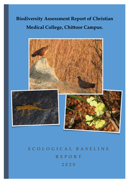 Biodiversity Assessment Report of Christian Medical College, Chittoor Campus