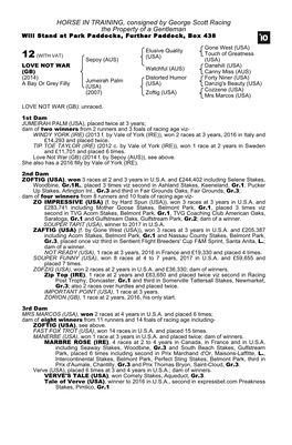 HORSE in TRAINING, Consigned by George Scott Racing the Property of a Gentleman Will Stand at Park Paddocks, Further Paddock, Box 438