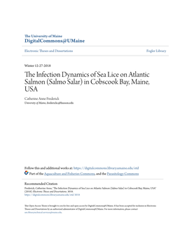 The Infection Dynamics of Sea Lice on Atlantic Salmon (Salmo Salar) in Cobscook Bay