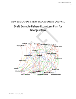 Draft Example Fishery Ecosystem Plan for Georges Bank