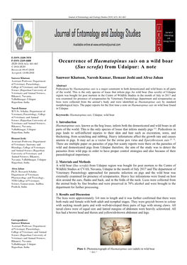 Occurrence of Haematopinus Suis on a Wild Boar (Sus Scrofa)