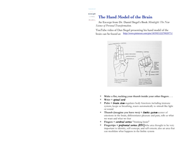 The Hand Model of the Brain an Excerpt from Dr