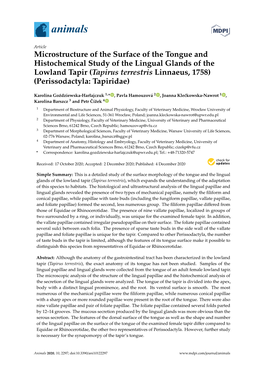 Microstructure of the Surface of the Tongue and Histochemical Study Of