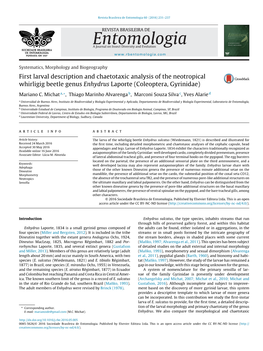 First Larval Description and Chaetotaxic Analysis of the Neotropical