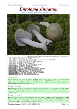 Entoloma Sinuatum