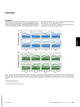 Invariable Stoichiometry of Ribosomal Proteins in Mouse Brain Tissues with Aging