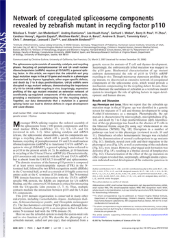 Network of Coregulated Spliceosome Components Revealed by Zebrafish Mutant in Recycling Factor P110