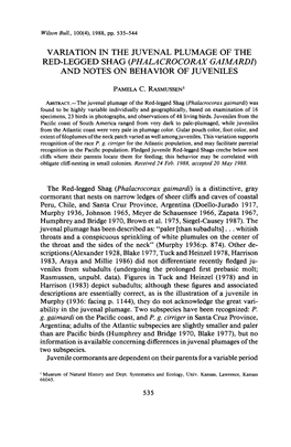 Variation in the Juvenal Plumage of the Red-Legged Shag (Phalacrocorax Gaimardi) and Notes on Behavior of Juveniles