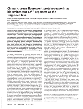 Chimeric Green Fluorescent Protein-Aequorin As Bioluminescent Ca2؉ Reporters at the Single-Cell Level