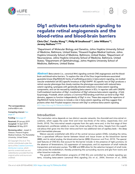 Dlg1 Activates Beta-Catenin Signaling to Regulate Retinal Angiogenesis