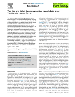 The Rise and Fall of the Phragmoplast Microtubule Array