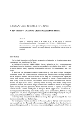 S. Brullo, G. Giusso Del Galdo & M. C. Terrasi a New Species of Oncostema (Hyacinthaceae) from Tunisia