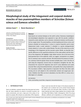 Article J Morphol 21298.Pdf