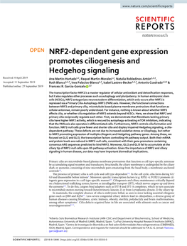 NRF2-Dependent Gene Expression Promotes Ciliogenesis And