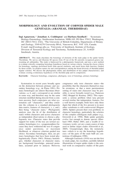 Morphology and Evolution of Cobweb Spider Male Genitalia (Araneae, Theridiidae)