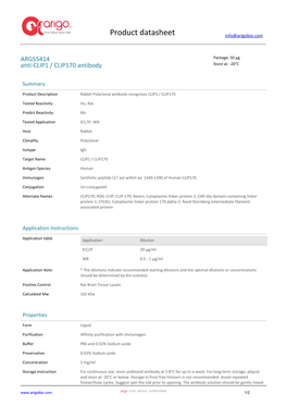 Anti-CLIP1 / CLIP170 Antibody (ARG55414)