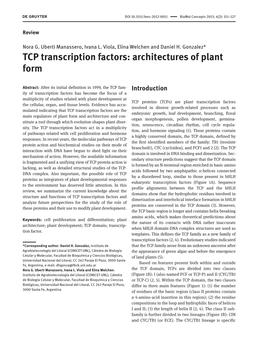 TCP Transcription Factors: Architectures of Plant Form