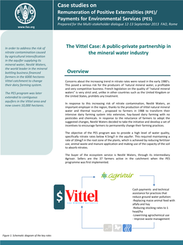 The Vittel Case: a Public-Private Partnership in the Mineral Water