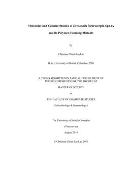 Molecular and Cellular Studies of Drosophila Neuroserpin Spn4a And