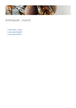 Arthropods - Insects