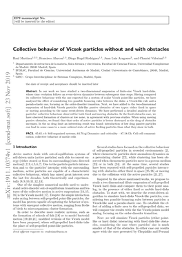 Collective Behavior of Vicsek Particles Without and with Obstacles