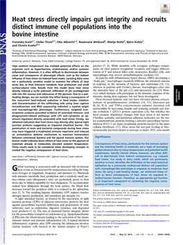 Heat Stress Directly Impairs Gut Integrity and Recruits Distinct Immune Cell Populations Into the Bovine Intestine