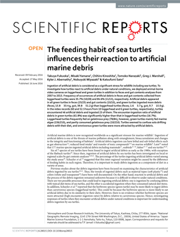 The Feeding Habit of Sea Turtles Influences Their Reaction to Artificial