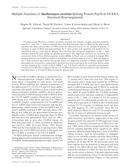 Multiple Functions of Saccharomyces Cerevisiae Splicing Protein Prp24 in U6 RNA Structural Rearrangements