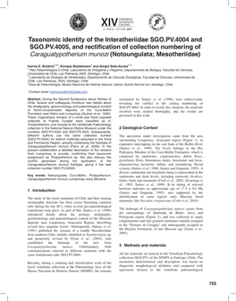 Taxonomic Identity of the Interatheriidae SGO.PV.4004 And