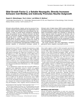 Glial Growth Factor 2, a Soluble Neuregulin, Directly Increases Schwann Cell Motility and Indirectly Promotes Neurite Outgrowth