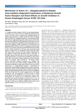 Auto-Oxidation–Dependent Inactivation of Epidermal Growth Factor Receptor and Direct Effects on Growth Inhibition in Human Esophageal Cancer KYSE 150 Cells