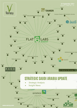 STRATEGIC SAUDI ARABIA UPDATE • Strategic Analysis • Insight News