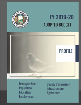 County Profile