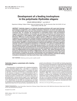 Development of a Feeding Trochophore in the Polychaete Hydroides Elegans CESAR ARENAS-MENA*,1 and AVA LI2