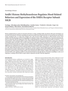 Setdb1 Histone Methyltransferase Regulates Mood-Related Behaviors and Expression of the NMDA Receptor Subunit NR2B