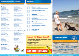 Flyer Urlaub Mit Hund