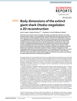 Body Dimensions of the Extinct Giant Shark Otodus Megalodon: a 2D Reconstruction Jack A