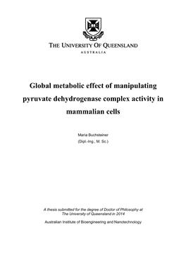 Global Metabolic Effect of Manipulating Pyruvate Dehydrogenase Complex Activity in Mammalian Cells