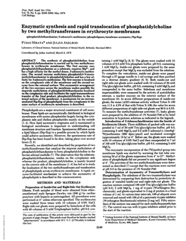 Enzymatic Synthesis and Rapid Translocation Of