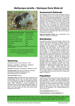 Bathyergus Janetta – Namaqua Dune Mole-Rat