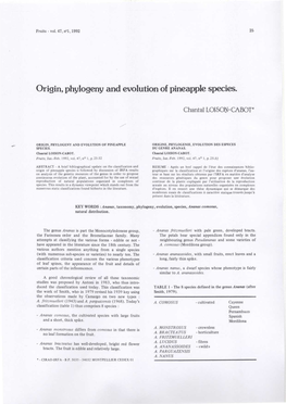 Origin, Phylogeny and Evolution of Pineapple Species