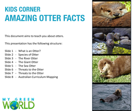 Amazing Otter Facts