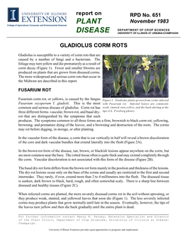 Gladiolus Corm Rots, RPD No