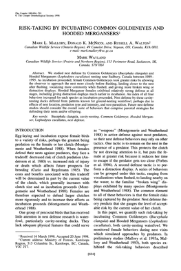 Risk-Taking by Incubating Common Goldeneyes and Hooded Mergansers ’