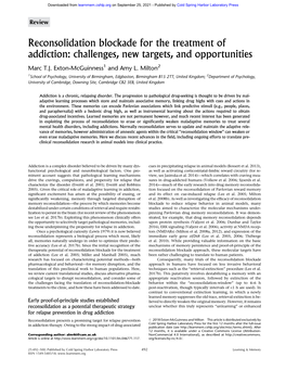 Reconsolidation Blockade for the Treatment of Addiction: Challenges, New Targets, and Opportunities