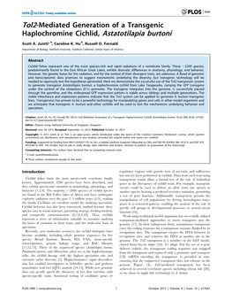 Tol2-Mediated Generation of a Transgenic Haplochromine Cichlid, Astatotilapia Burtoni