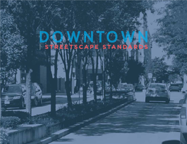 Downtown Streetscape Standards Through Focus Group Discussions, One-On-One Interviews, and Attendance at Public Meetings