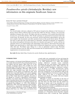 Pseudonovibos Spiralis (Artiodactyla: Bovidae): New Information on This Enigmatic South-East Asian Ox